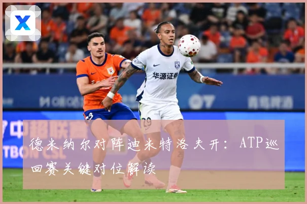德米纳尔对阵迪米特洛夫开：ATP巡回赛关键对位解读