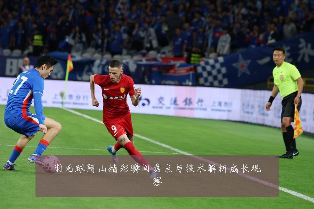 羽毛球阿山精彩瞬间盘点与技术解析成长观察