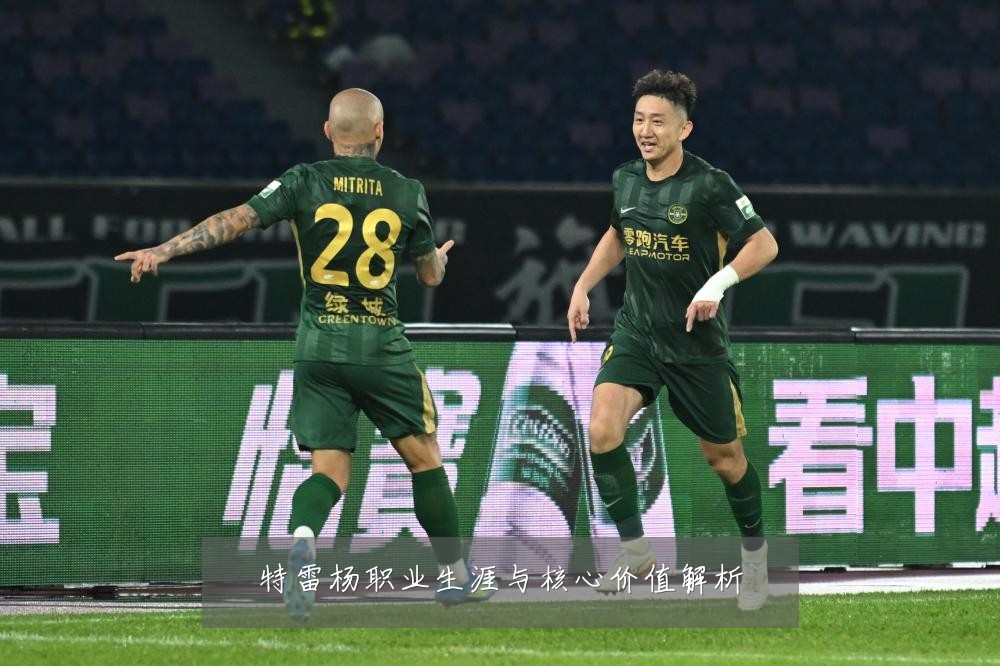 特雷杨职业生涯与核心价值解析