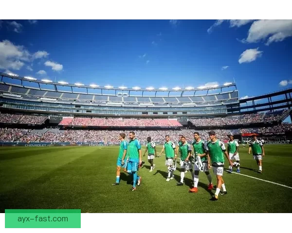 2026年世界杯六大举办城市探索与文化魅力全景呈现